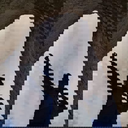 Photographer Kyle To 